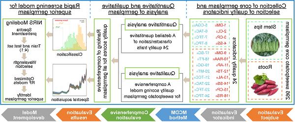 FIG2.tif.jpg